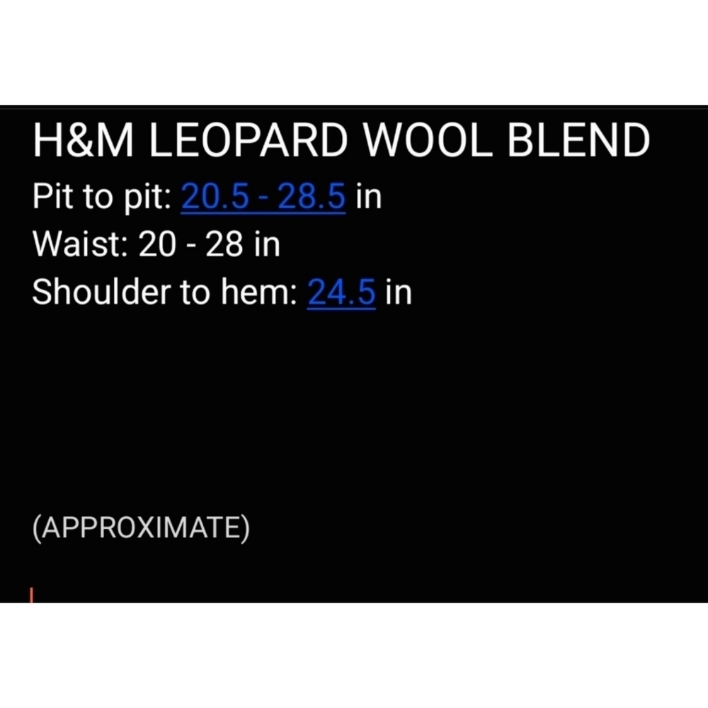 H&M Leopard Print Poly Wool Blend Sweater, M - Picture 14 of 14